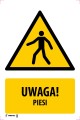 WU022O Uwaga Piesi (1).jpg